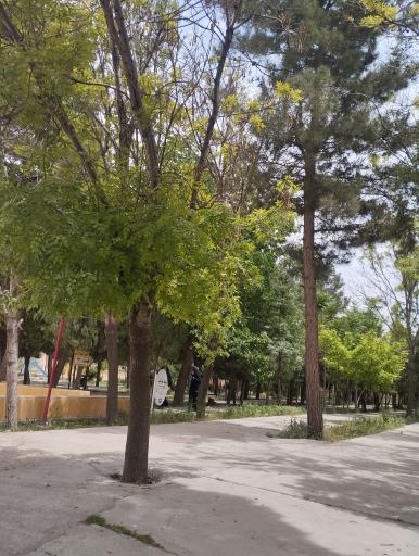 عکس فضای سبز امامزاده سلطان ابراهیم