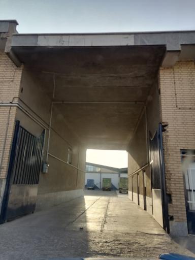 عکس شرکتدگلرنگ پخش سمنان