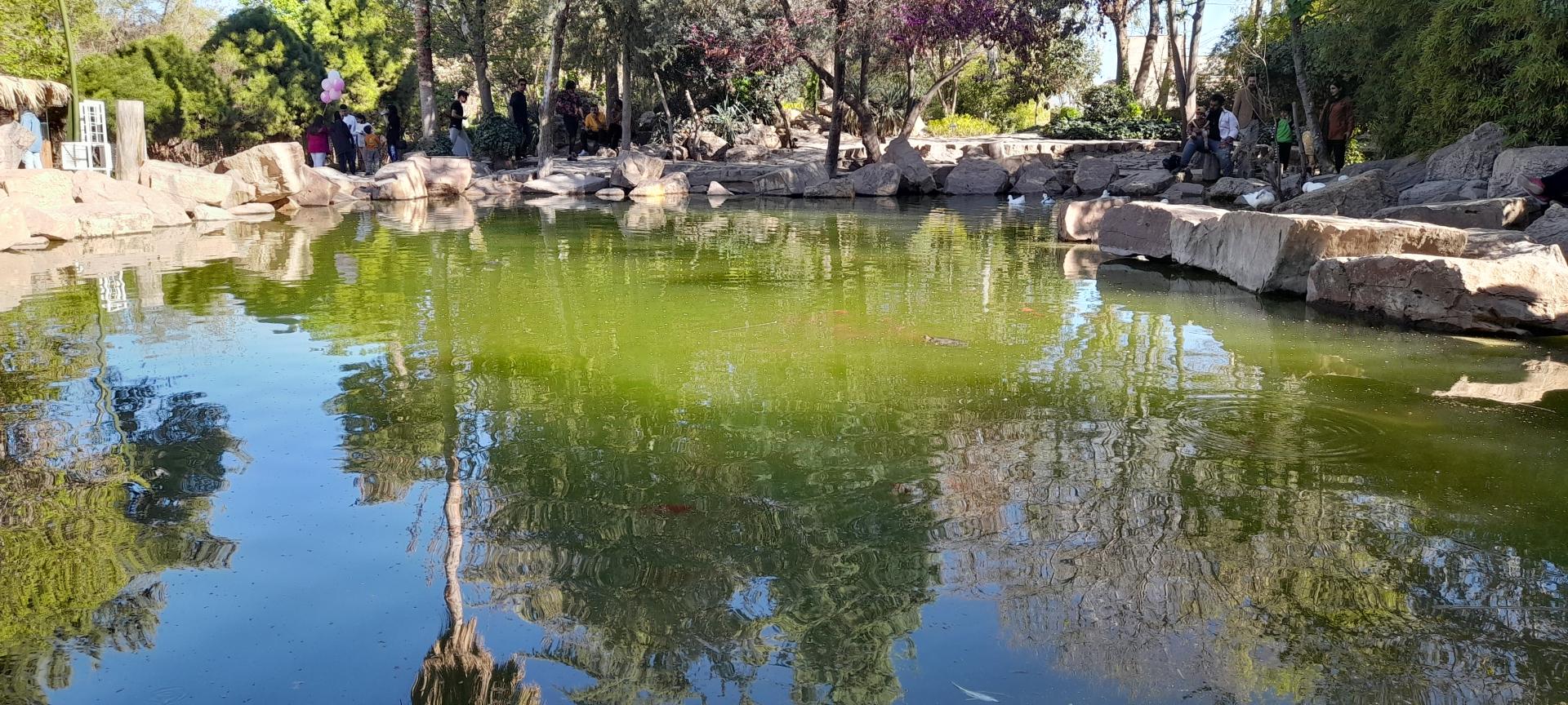 عکس برکه باغ ارم