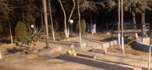 عکس باشگاه بانک صادرات