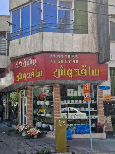 عکس گلفروشی ساقدوش