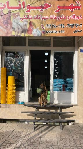 عکس خوراک دام و طیور شهر حیوانات