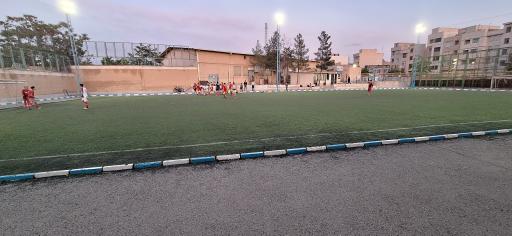 عکس سالن و زمین ورزشی 9 دی