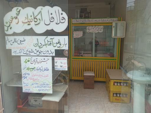 عکس فلافل ارگانیک عمو سید