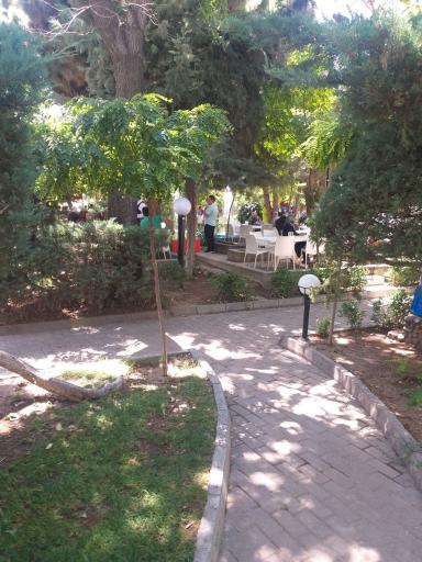 عکس باشگاه بانک صادرات