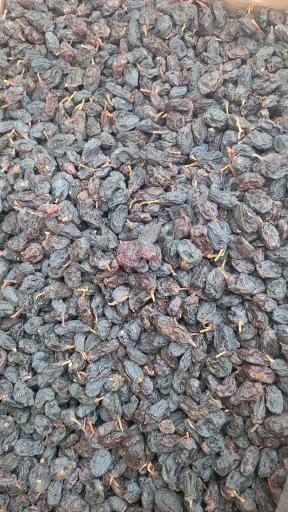 عکس خشکبار و سوغات ترنج