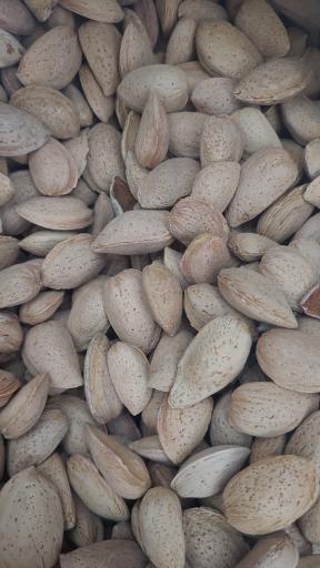 عکس خشکبار و سوغات ترنج