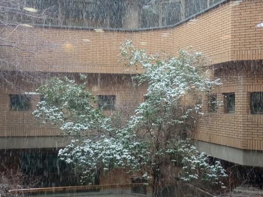 سازمان اسناد و کتابخانه ملی ایران