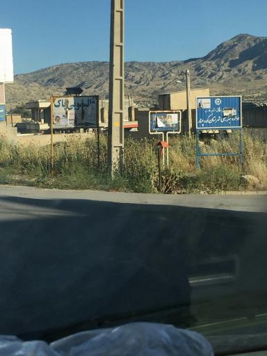 عکس قالیشویی پاک