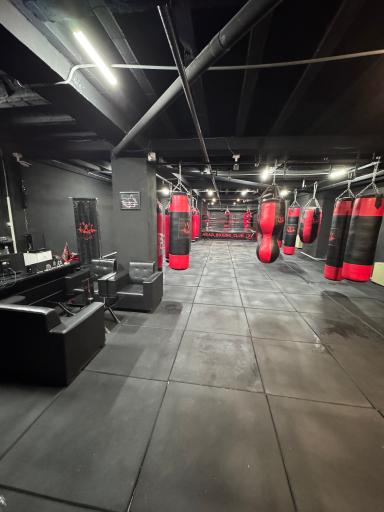 عکس آکادمی بوکس آراد