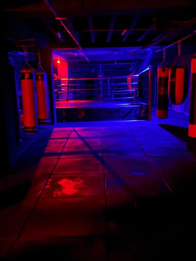 آکادمی بوکس آراد