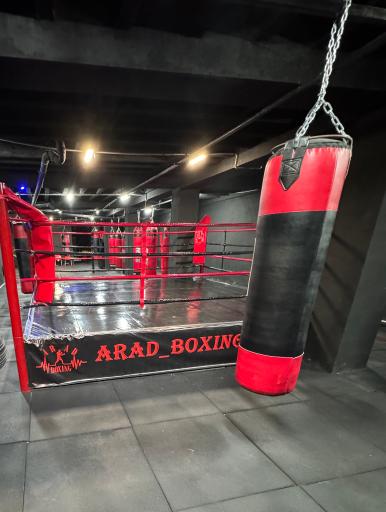 عکس آکادمی بوکس آراد