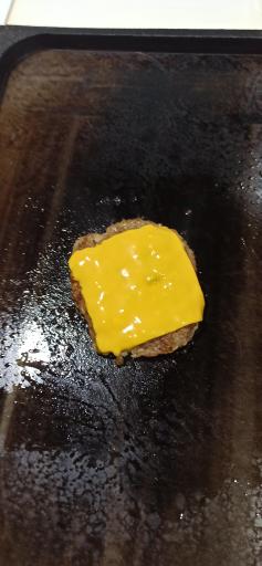 عکس ساندویچ دریایی راج