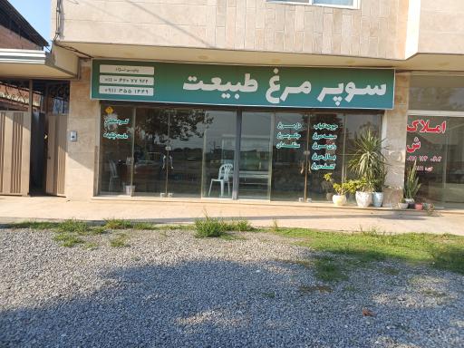عکس مرغ فروشی طبیعت