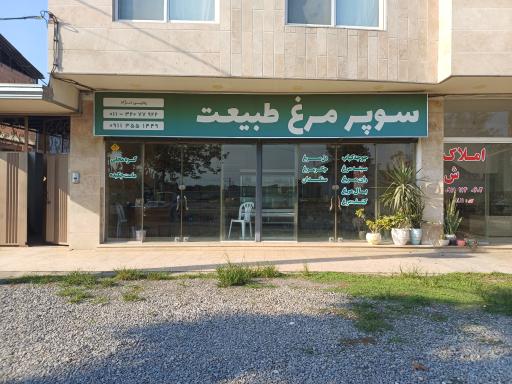 عکس مرغ فروشی طبیعت