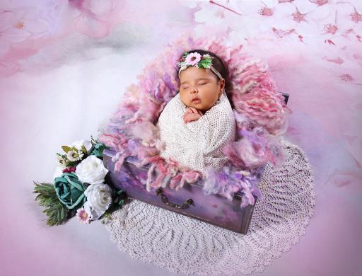 عکس آتلیه راگا