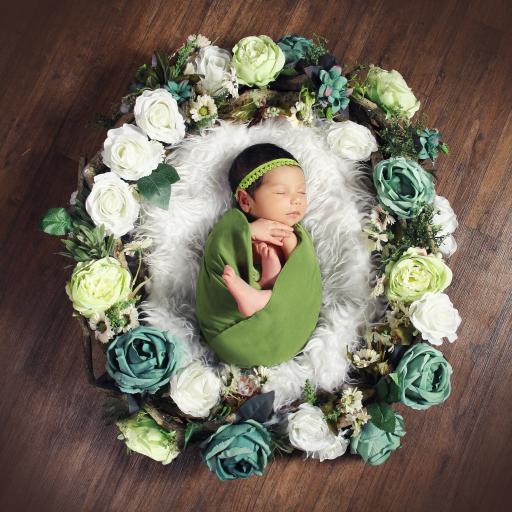 عکس آتلیه راگا