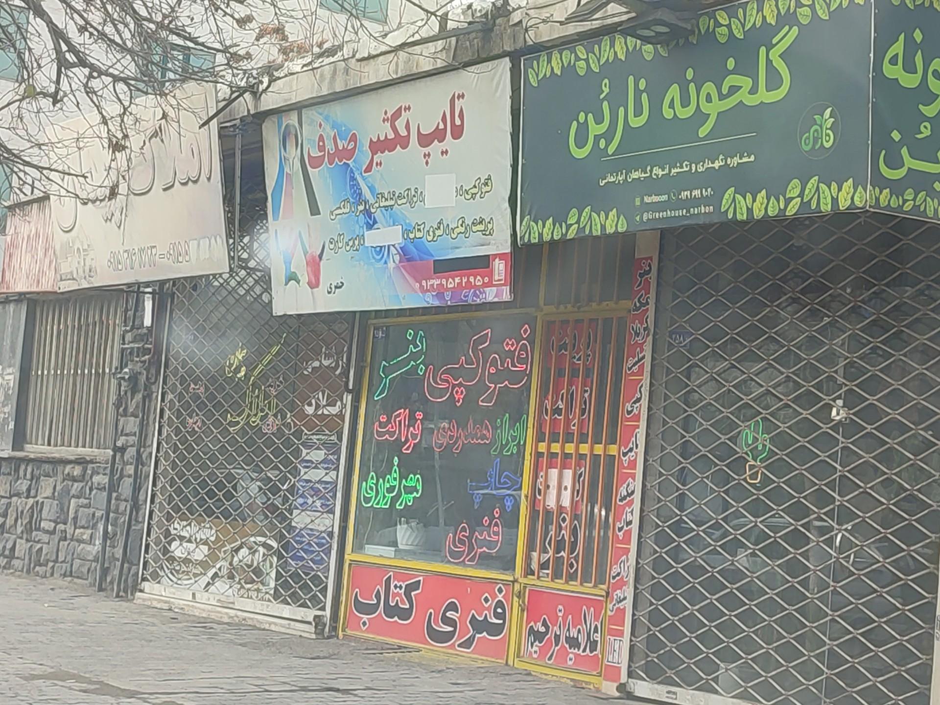 عکس تایپ و تکثیر صدف