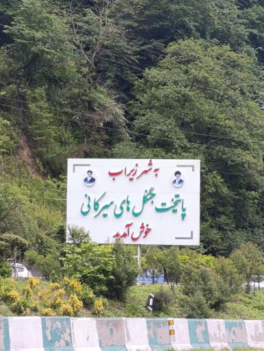 عکس زیرآب