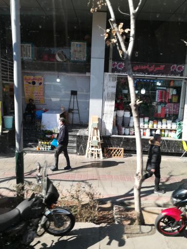 عکس گلسرای احمدی گلفروشی