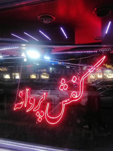 کفش پروانه