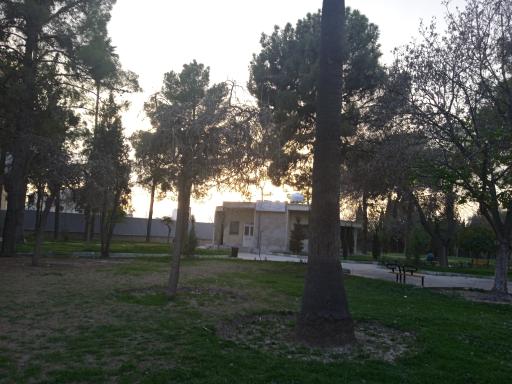 عکس کتابخانه عمومی فرصت شیرازی