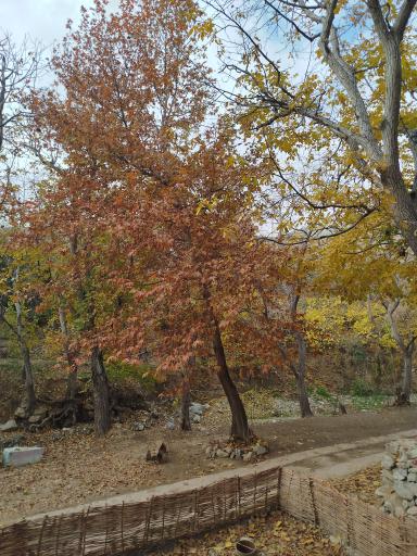 عکس ورودی غربی روددره فرحزاد 