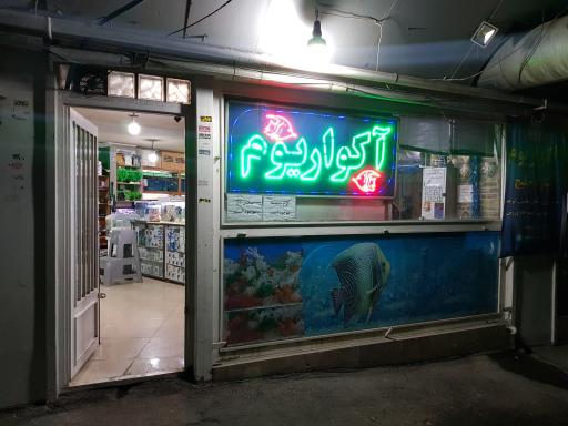 عکس آکواریوم ستاره خلیج