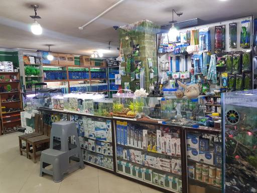 عکس آکواریوم ستاره خلیج