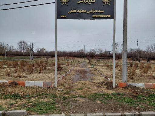 عکس بوستان قرآنی سیده نرگس مجتهد نجفی