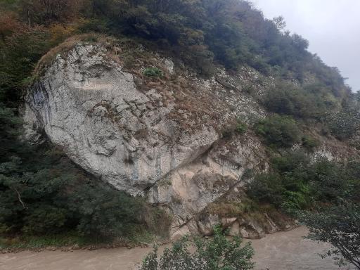 عکس رزکه