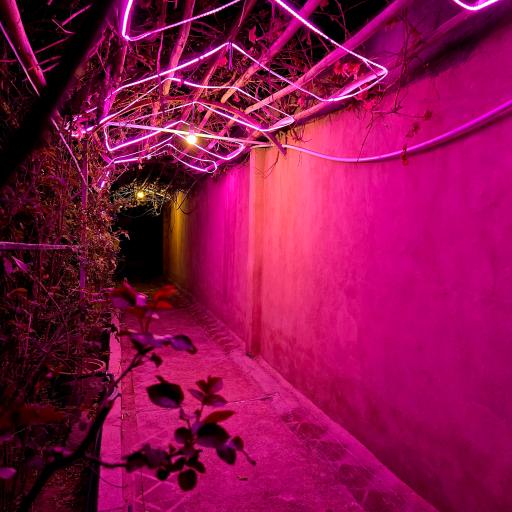 کافه باغ آرامش