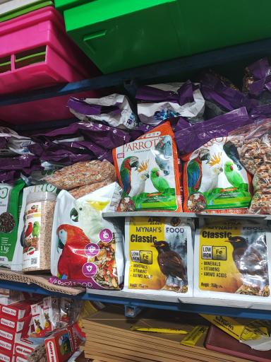 عکس پرنده فروشی کاسکو