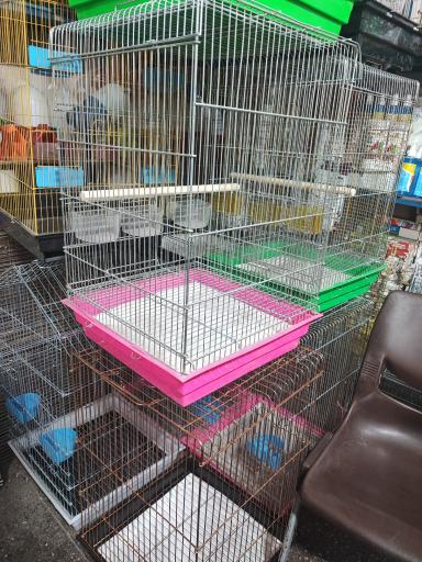 عکس پرنده فروشی کاسکو