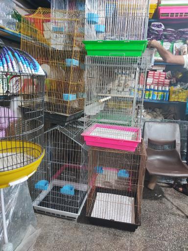 عکس پرنده فروشی کاسکو