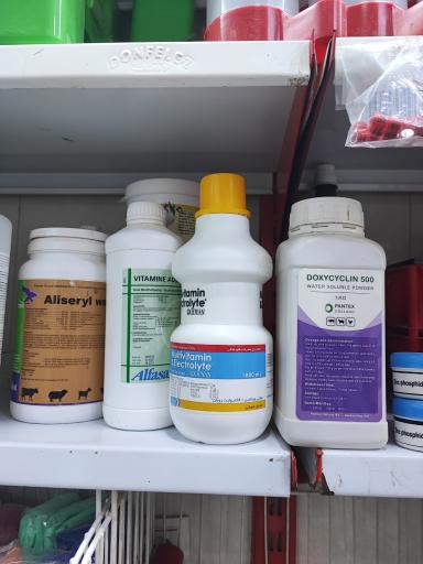 عکس پرنده فروشی کاسکو