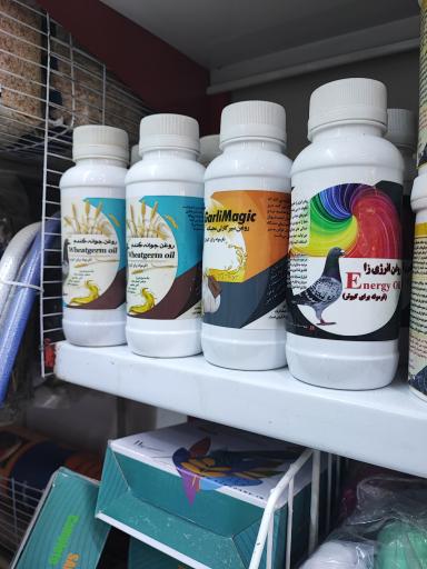 عکس پرنده فروشی کاسکو