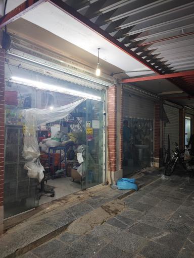 عکس پرنده فروشی کاسکو