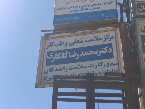 دکتر محمدرضا گلکاری 