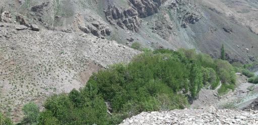 عکس آبشار افجه (پسکوهک)