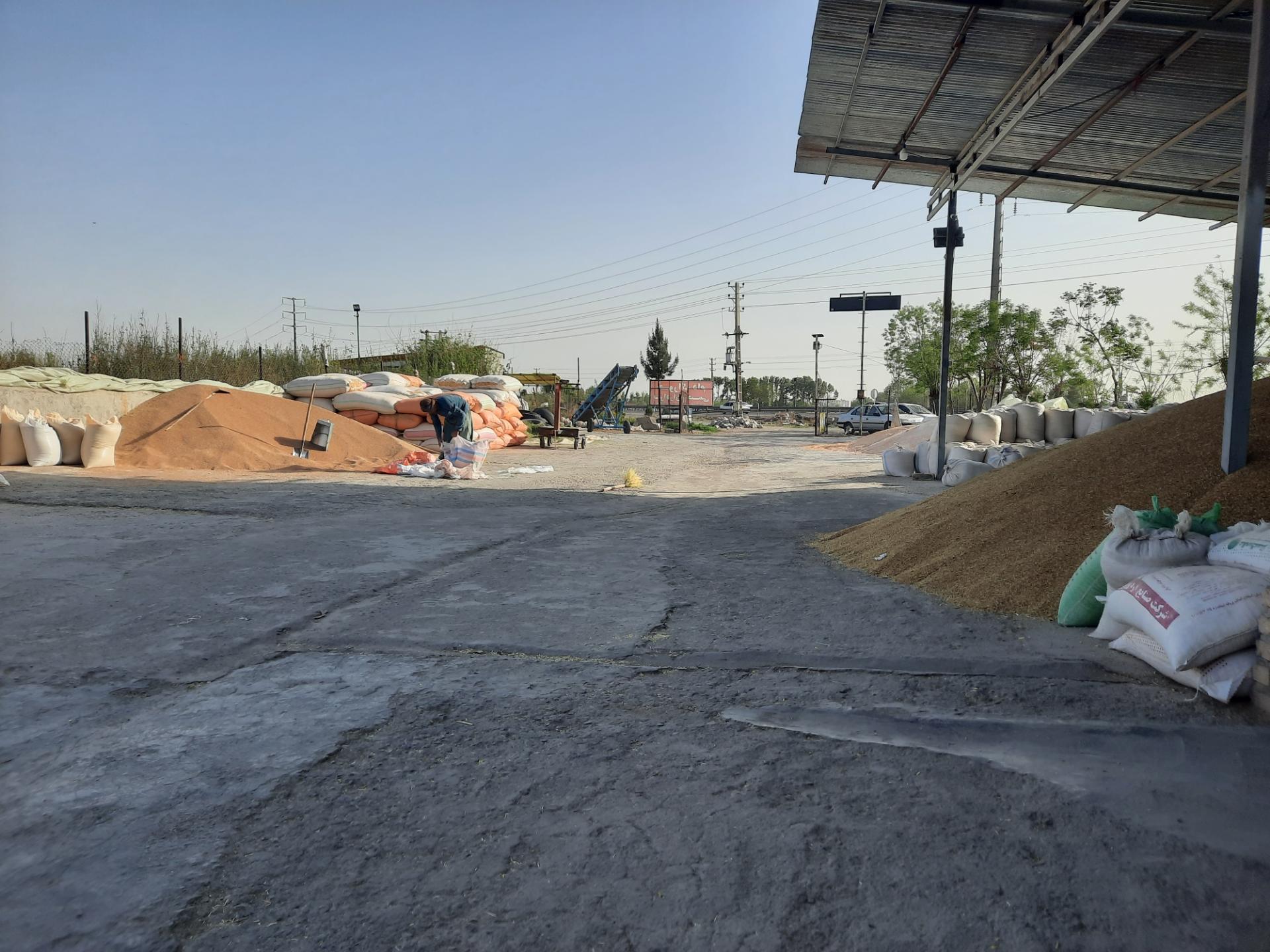 عکس خوراک دام رحیمی