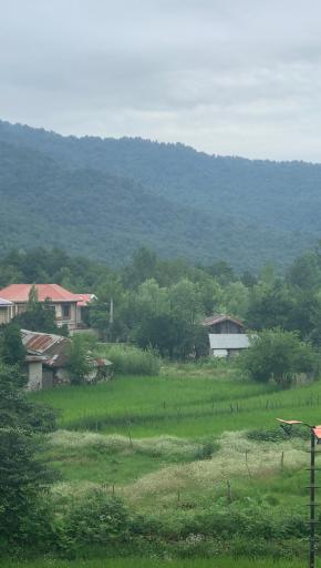 عکس سیاه دول