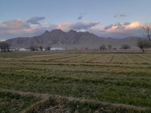 عکس پوده