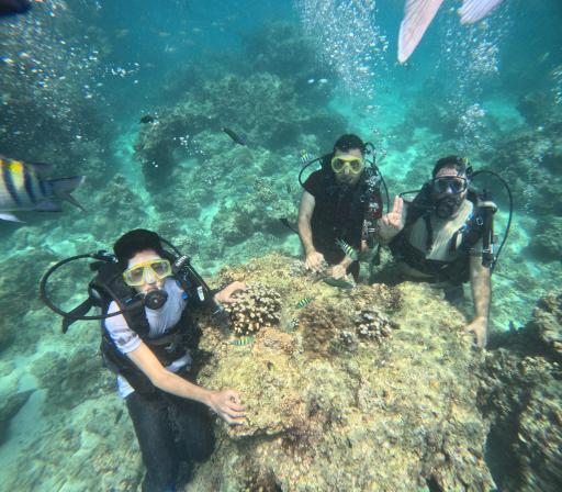 عکس کلوپ غواصی و تفریحات دریایی اسکوبا