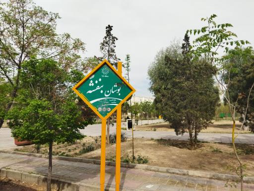 عکس بوستان بنفشه