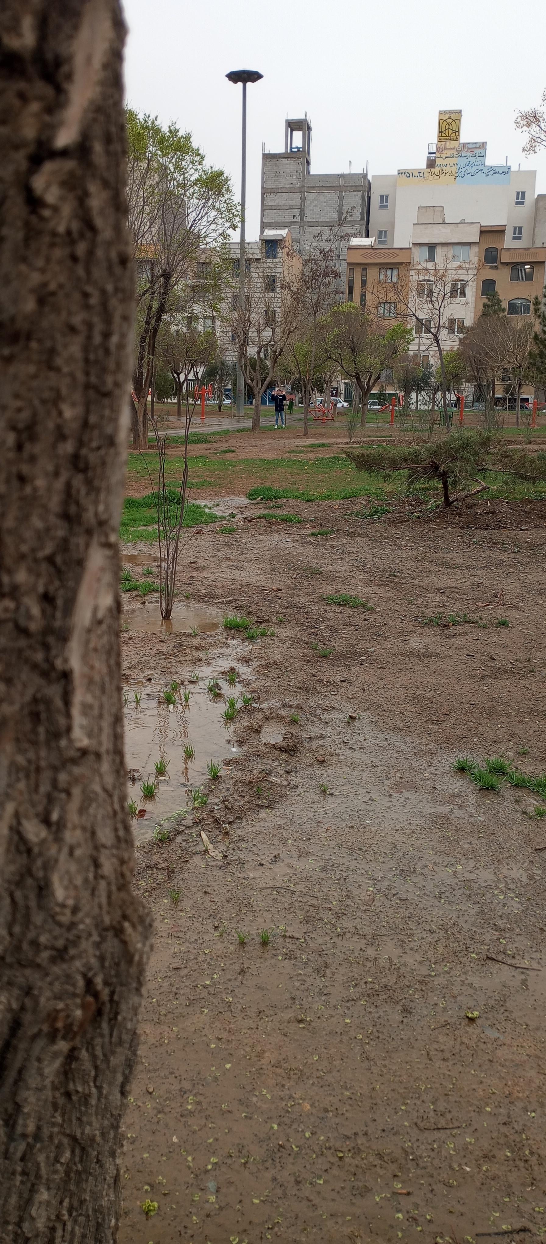 عکس بوستان بنفشه