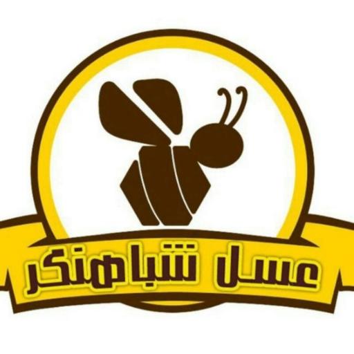 عکس عسل شباهنگر 