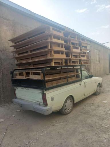 عکس کفی تخت حاصل لو