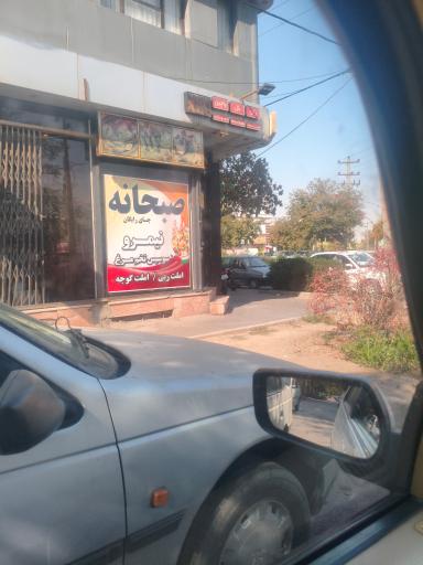 عکس مرغ بریان دانیال