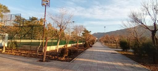 عکس بوستان بنفشه